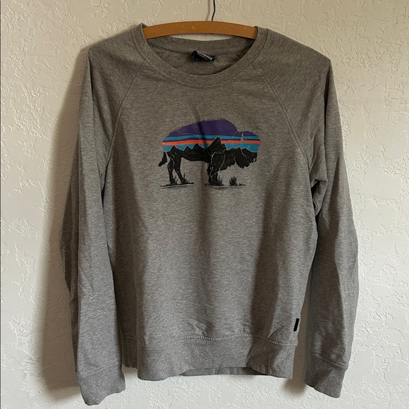 Patagonia Sweatshirt - Picture 1 of 1